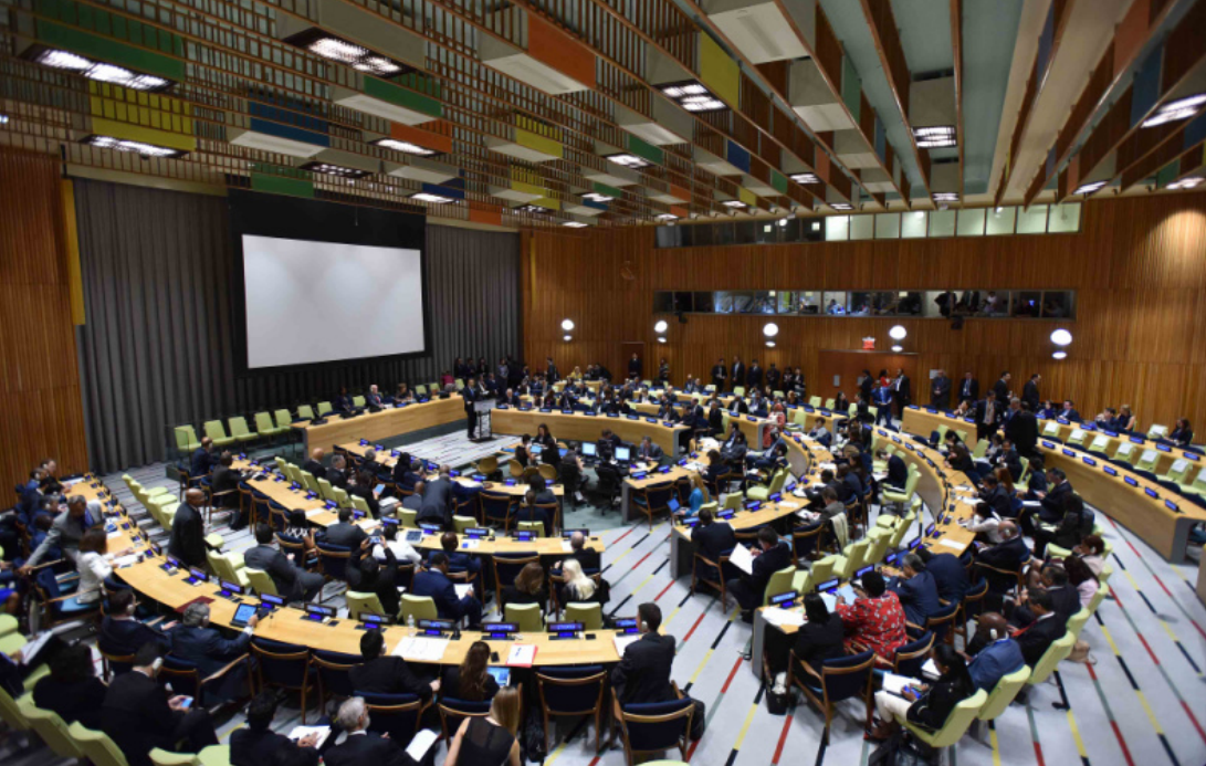 聯(lián)合國(guó)經(jīng)濟(jì)及社會(huì)理事會(huì)ECOSOC